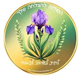 הסודות להצלחה שלך